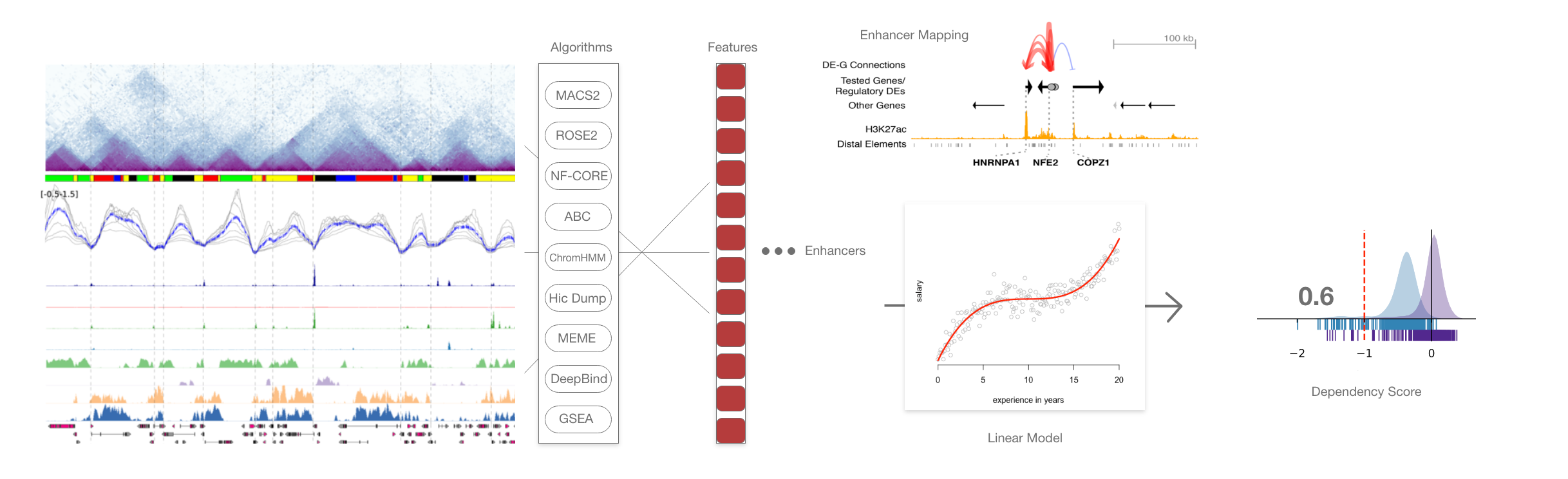 representation of the model