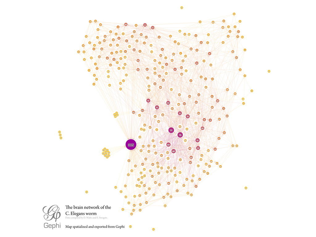 A network visualization: the shape of knowledge is already graph-like