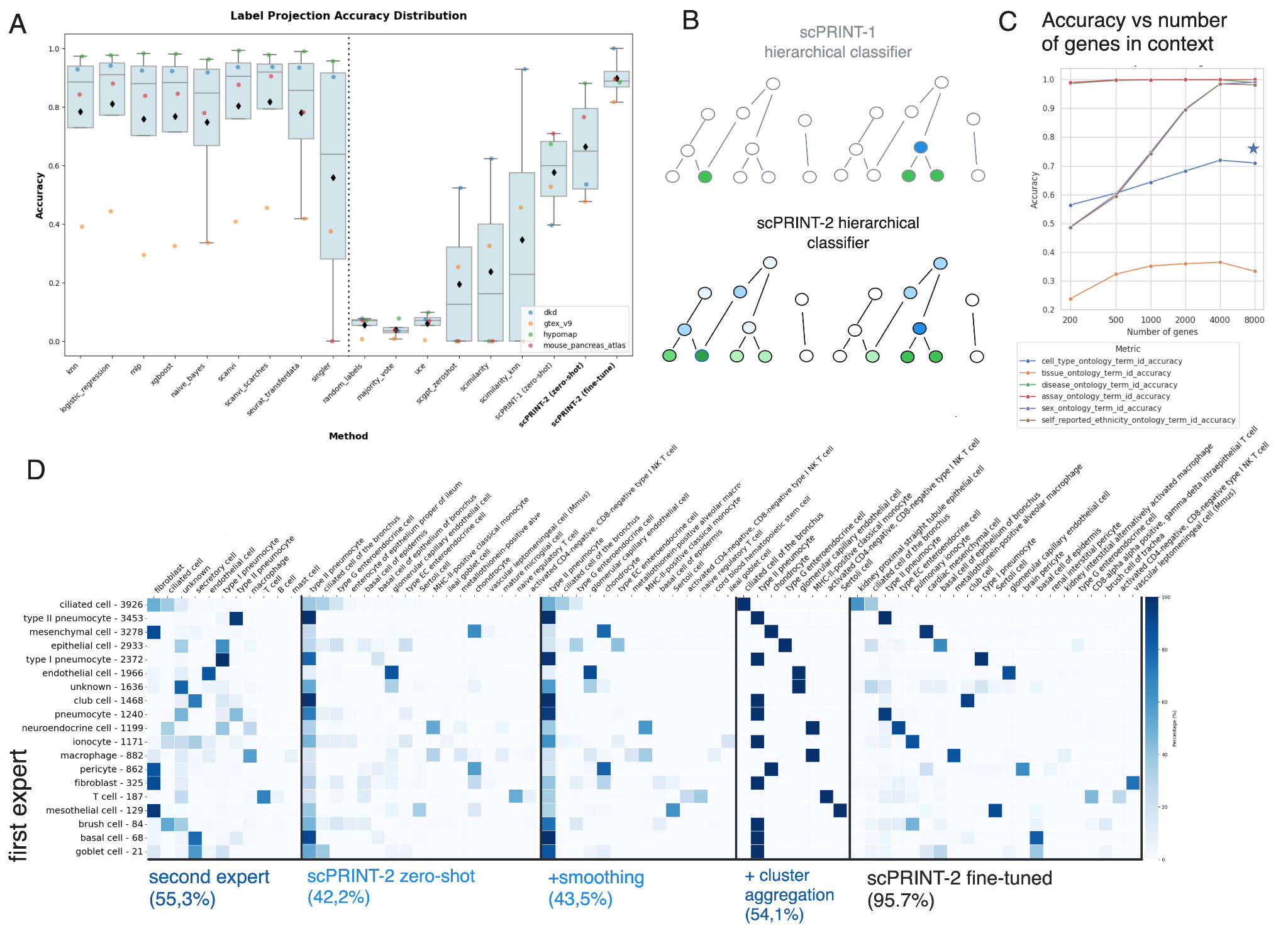 scPRINT-2 classification benchmark
