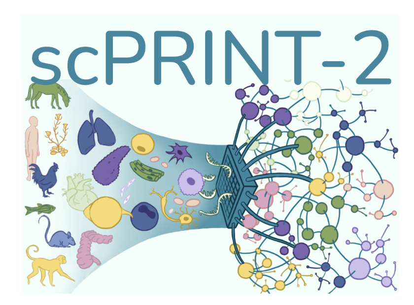 scPRINT2